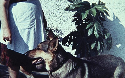 1967 Hofwirtin mit Hofhund