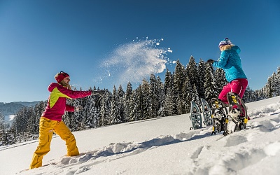Schneeschuhwandern in Ellmau