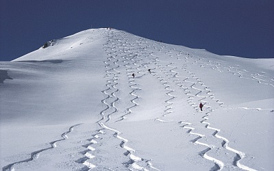 Spuren im Schnee